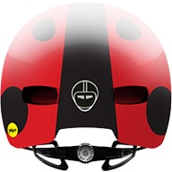 Little Nutty Lady Bug