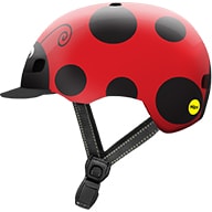 Little Nutty Lady Bug