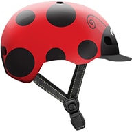 Little Nutty Lady Bug